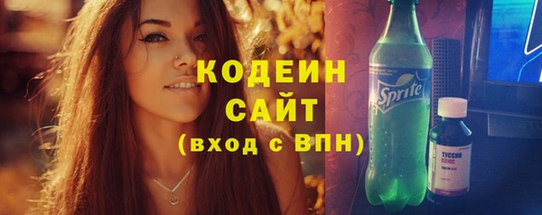 прущие грибы Абаза