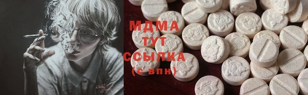 прущие грибы Абаза