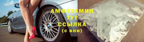прущие грибы Абаза