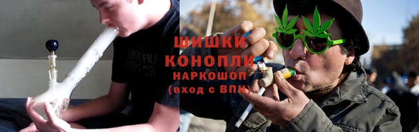 прущие грибы Абаза